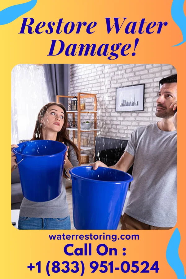 water restoration Total Extraction Cheboygan